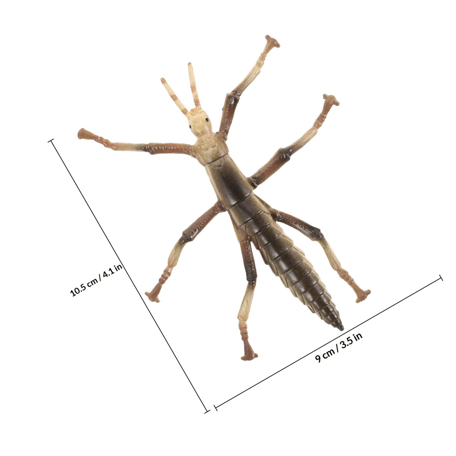 Sturdy Plastic Stick Insect fo - Kids Education Activities 评论和价格